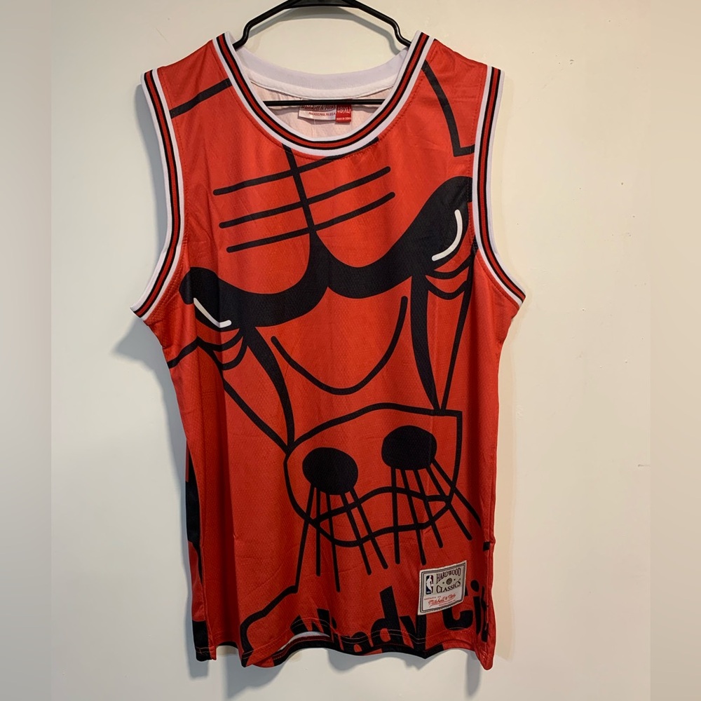 Red Windy City Chicago Bulls Jordan Jersey